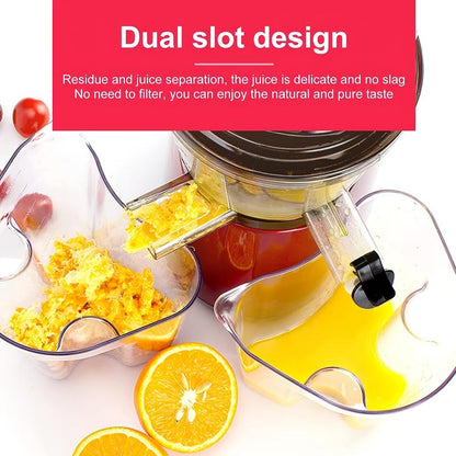 Slow Masticating Juicer Cold Press Juice Extractor